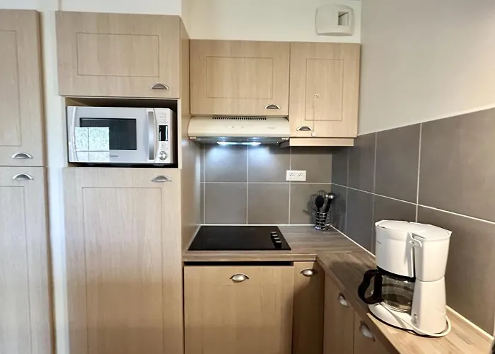 Ξενοδοχείο με διαμερίσματα Argousiers 107